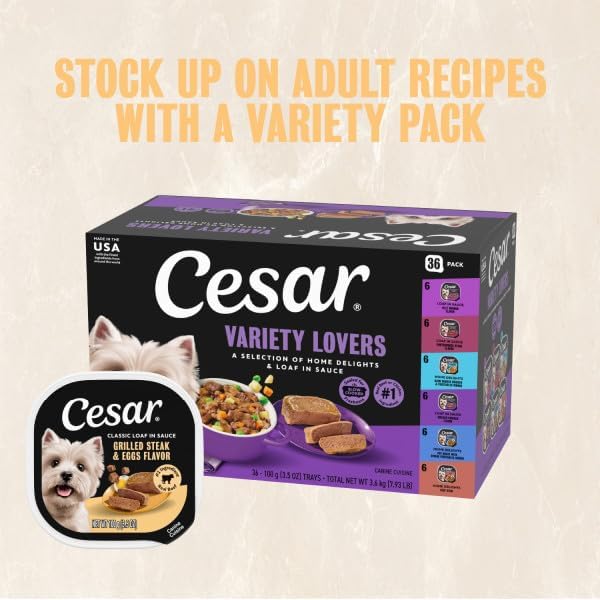 Cesar Breakfast & Dinner Variety Pack Wet Dog Food, 3.5 oz, 24 Count | Real meat #1 ingredient, no fillers, no added sugar or artificial flavors, slow-cooked, easy to digest, easy peel trays
