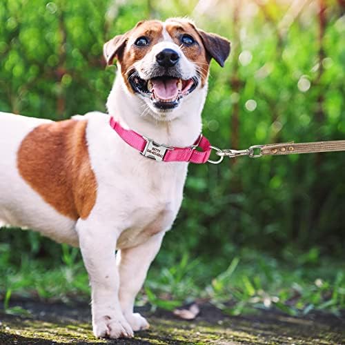 Personalized Martingale Dog Collar-Reflective Martingale Collars with Buckle, Custom Training Martingale Dog Collars Embroidered with Name and Phone Number for Small Medium Large Dogs