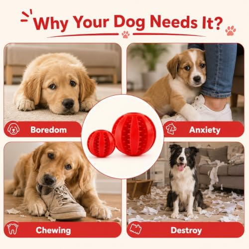 GASHIK Dog Treat Ball for Dogs, Rubber Dental Chew Toy for Dogs