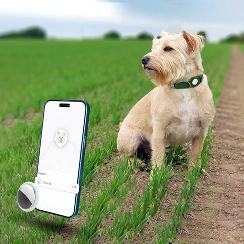 AirTag Dog Collar - Genuine Leather Dog Collar with Apple AirTag Holder and Metal Buckle - Smart GPS Tracking Pet Collars (Dark Green, S, 12"-15" Neck Fit)