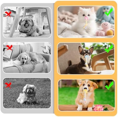 3Pcs Pet Molar Clean Teeth Rubber Toy, Dog Pacifier With Rope, Dog Chew Toys for Aggressive Chewers, Rubber Puppy Pacifier Chewing Playing Training Toys for Small Dogs & Adult Cat, 3 Cute Colors