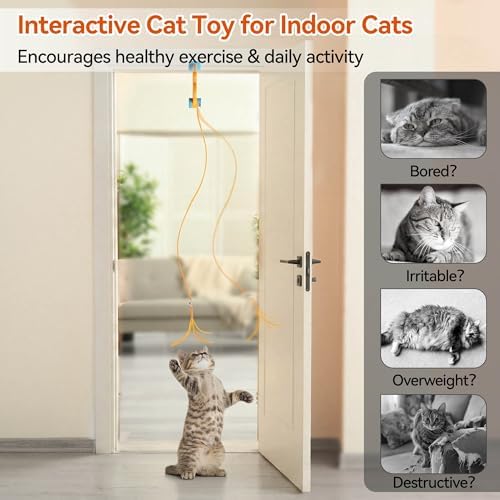ALL FOR PAWS Interactive Cat Toy for Indoor Cats, Automatic Door Hanging Feather Wand Toy, USB Rechargeable Self-Playing Cat Toys for Adult Cats & Kittens, Boredom Relief & Enrichment