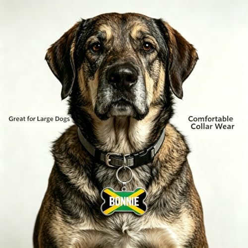 HSIAHOU Custom Pet ID Tags, Personalized Dog Tag Cat Tag (Jamaica)