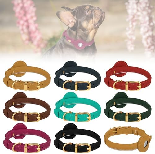 OOPSDOGGY Rolled Leather Dog Collar with Airtag Holder (Teal, L, 14"-18")