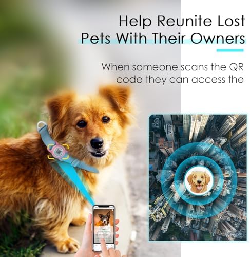 ADVENTUREMORE Airtag Dog Collar with Smart ID QR Code Airtags Holder: Prevents Dogs from Getting Lost at Night, Displays Owner and Pet Details. Waterproof, Durable, Adjustable, Thick-Teal-Large