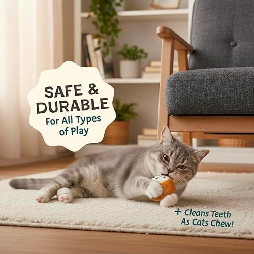 Woolbuddy Wool Cat Toys (Big Sushi 4 PCS) for Indoor Cat Kitten Catnip-Free