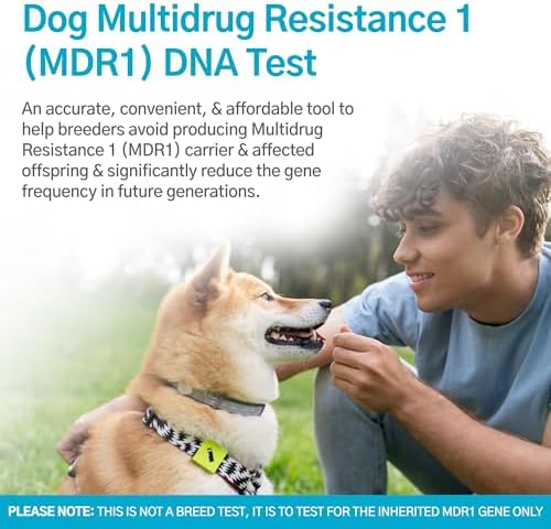 Dog Multidrug Resistance 1 (MDR1) DNA Test Kit | Home Sample Collection Kit for 1 Canine | Puppy MDR1 Testing Kits | Results in 10-15 Working Days | A Complete Kit with No Extra Fees