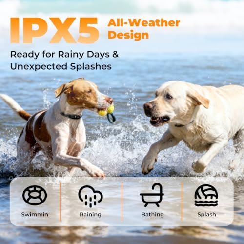 2-in-1 Dog Shock Collar 2 Dogs - 3300 ft Waterproof Training Collar
