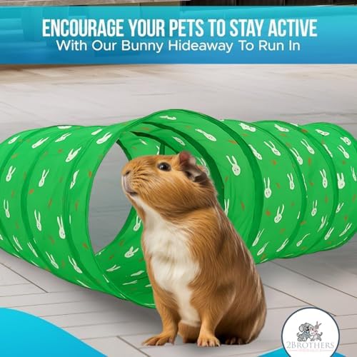 Tunnels with 3-Way Entrance - Cozy, Washable Guinea Pig Hideout - Interactive Cage Toys (Green)