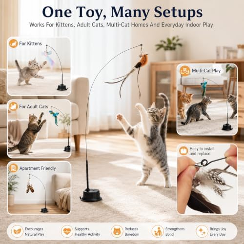 8 PCS Interactive Bird Simulation Cat Toy Set,Cat Wand Toy Feather Stick Cats Toys,2 Self-Holding Suction Cup Bases and 5 Replacement Birds,Durable Feather Wand Bird for Indoor Bored Cats