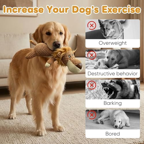 Dog Toys Indestructible Dog,Soft Chew Toy,Durable Squeaky Dog Toys for Heavy Chewers,Toy Puppy Pet Mutt Toy Plush Dog Chew Toy, Interactive Dog Toys (Green)