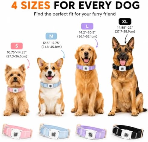 AirTag Dog Collar with QR Code ID, Dog Collar with Air Tag Holder, Black, L