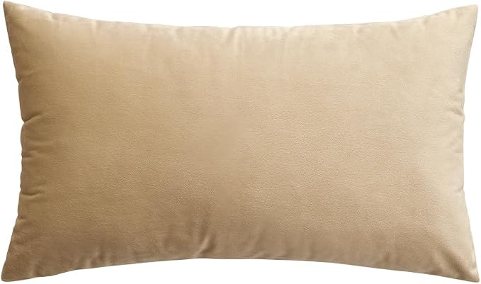 MIULEE 12x20 Inch Lumbar Velvet Throw Pillow Cover Set of 1 Beige | Soft Luxury Decorative Throw Pillow Cover, Single Rectangle Cushion Case, Home Decor for Chair Couch Sofa Bedroom Car Bed