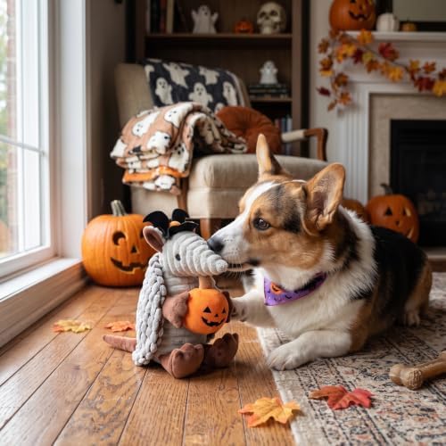 Hollypet Armadillo Squeaky Puppy Dog Toys for Small Medium Dogs, Halloween