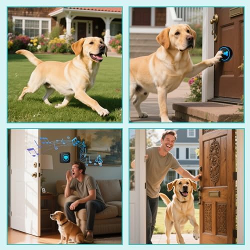 Dog Doorbell to Go Outside, Smart Wireless Doggie Doorbell for Potty Training,1000 Feet Long Range with IP65 Waterproof Super-Light Touch Button, 60 Melodies & Adjustable Volume (2 Button)