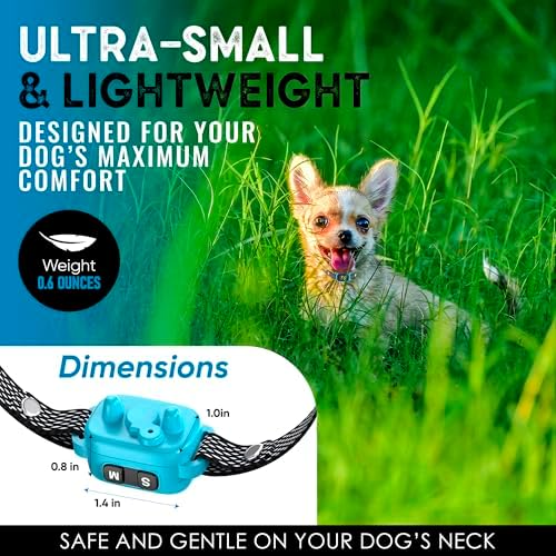 2 Pack Tiny Bark Collar for Small Dogs 5-15 lbs and Puppies - No Shock Anti Barking Collar - Rechargeable Smart Collar for Dog Training with 7 Sensitivity Levels and 3 Beep&Vibration Modes