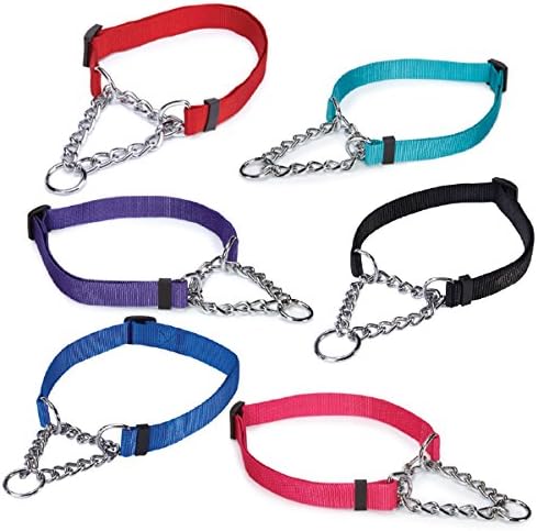 Guardian Gear Choke-Style Adjustable Martingale Dog Collar
