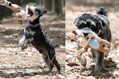 Squeaky Dog Toy Chew Plush Stuffed with Cotton Rope Crinkle Paper Soft Interactive Durable for Small Medium Large Dogs Puppy Pet Orange Fox