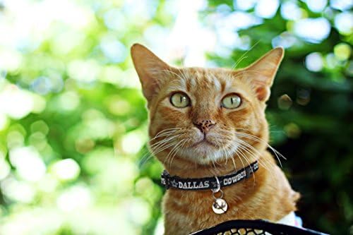 Pets First COLLAR for CATS - NFL DALLAS COWBOYS CAT COLLAR. - Strong & Adjustable FOOTBALL Cat Collars with Metal Jingle Bell