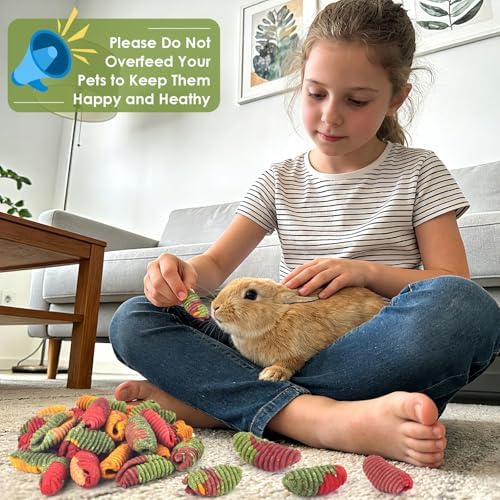 ERKOON Chinchilla Treats, Timothy Grass Chew Toys for Teeth for Rabbit Guinea Pig Gerbil Rat Dwarf Hamster (Large Size-3 Pack)