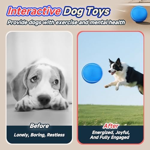 HETOO Tennis Balls for Dogs, Large Dog Toys, Herding Ball, 9.5 Inch