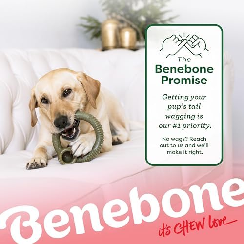 Benebone Ring Dog Chew Toy for Aggressive Chewers, Peppermint, Medium