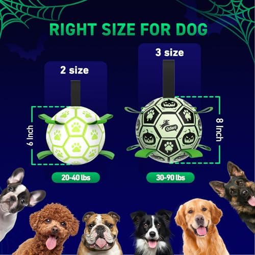 QDAN Glow in The Dark Halloween Dog Toys,Dog Balls with Straps