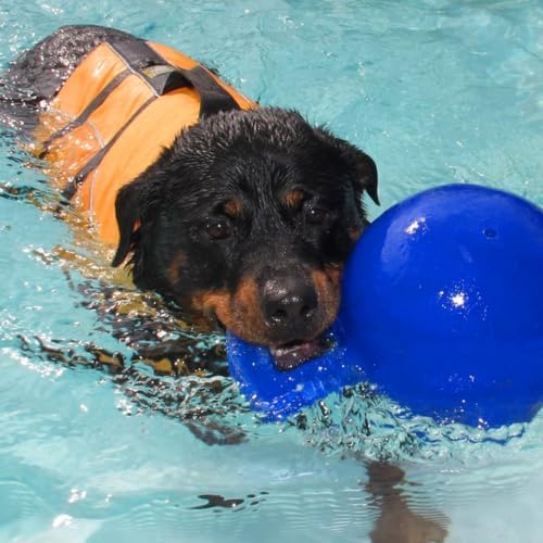 Jolly Pets Tug-n-Toss Dog Toy Ball with Handle, 8 Inches/Large, Blue