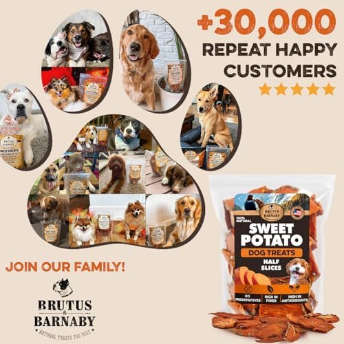 BRUTUS & BARNABY Dried Sweet Potato Dog Treats, Half Slices, 5 lb, 2 Pack | Single ingredient chews, healthy, hypoallergenic; gentle on sensitive stomachs. Made in USA, bite size for small breeds