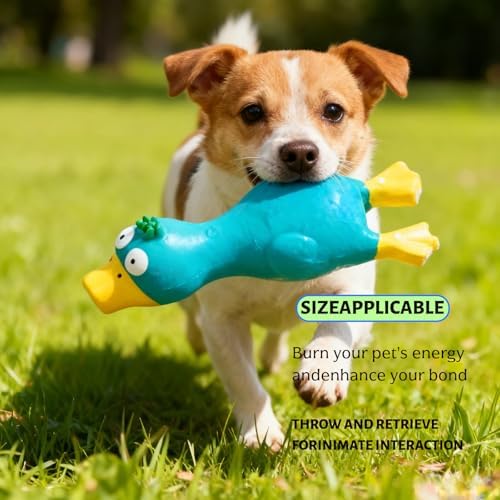 6.7" Squeaky Latex Dog Toy gripping, Cute Little Chicken Rubber Toy for Chewing and Grinding Teeth Interactive Play for Small Medium Dogs -(1Pcs Blue)