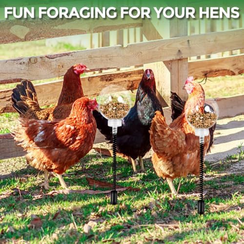 Chicken Peck Toy 2 Pack, Treat Dispensing Slow Feeder Ball for Hens