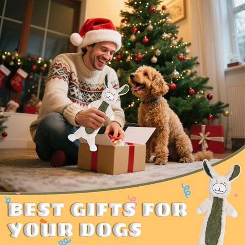 Squeaky Dog Toys for Small & Medium Breeds, Soft No Stuffing Interactive Puppy Teething Chewing Toy with Crinkle Paper, Best Birthday, Christmas, Halloween, Easter Gift, Flat Rabbit
