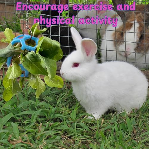 Rabbit Treat Ball Bunny Enrichment Toys with Stainless Steel Hanger Set, Veggie Feeding Rabbit Ball Toy for Bunny Squirrel Hedgehog Tortoise Guinea Pig Rabbits, Pets Treat Balls Accessories (Blue)