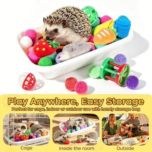 Hedgehog Toys & Accessories, Enrichment Toy Set with Dig Box & Balls