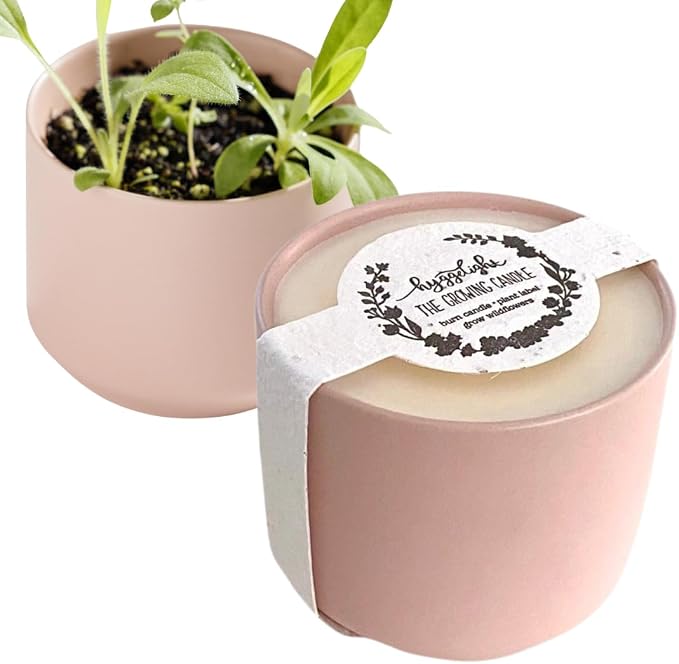 Hyggelight - The Growing Candle, Juniper & Citronella Scent, 8oz Ceramic Pot, Aromatherapy Candles, Gift for Outdoors, 100% Soy, Adelyn