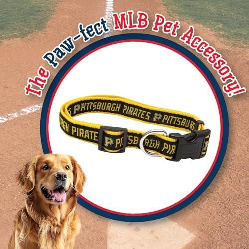 MLB Pittsburgh PiratesLicensed PET COLLAR- Heavy-Duty, Strong, and Durable Dog Collar. Available in 29 Baseball Teams and 4 Sizes
