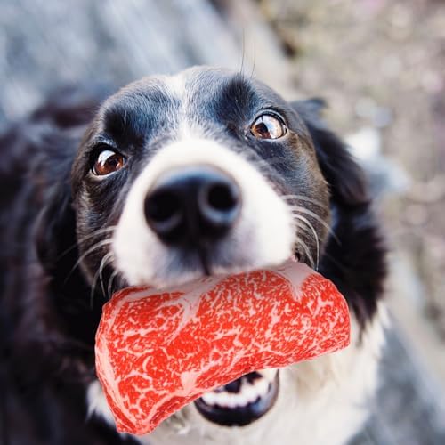 balacoo Simulated Steak Dog Chew Toy 9.05In Soft Oxford Cloth Squeaky