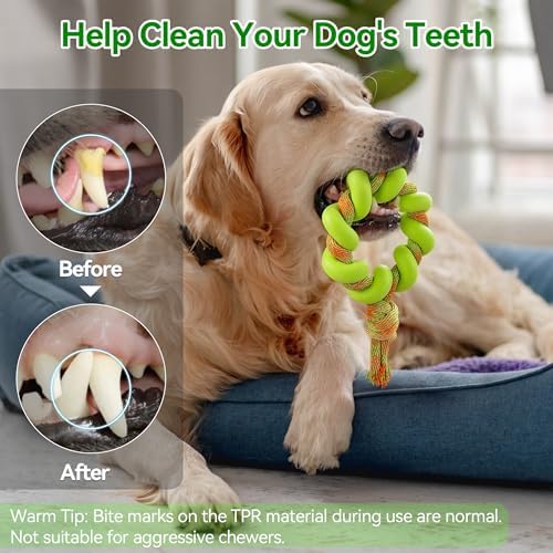 ALL FOR PAWS 6.1" Dog Ring Toy, Flying Ring for Fetch, Training & Outdoor Play, TPR Foam & Rope Dog Toy for Throwing, Catching, Tug Toys for Small, Medium & Large Dogs