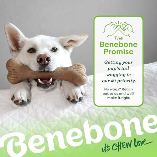 Benebone Bone Dog Chew Toy for Aggressive Chewers, Real Bacon, Medium