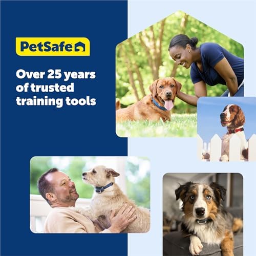 PetSafe Bark Collar | Progressive Static Correction, Built-in Safety Feature Prevents Over Correction, Waterproof, Dogs 8 lb+, Necks Up To 27 in