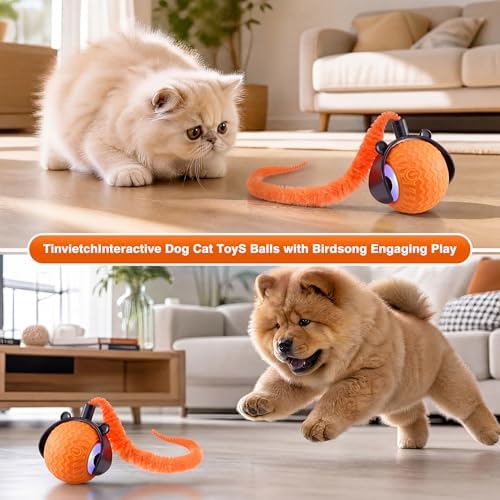 ZUAMEGUCat Toys for Indoor Cats - Interactive Rolling Ball