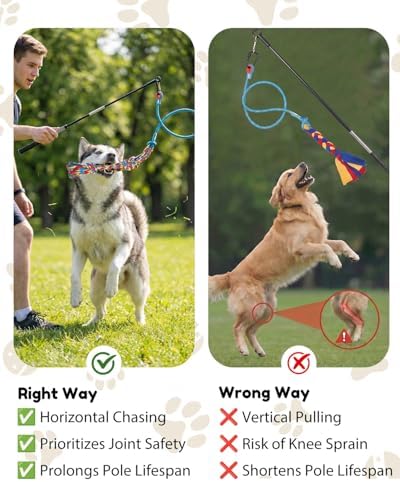 BurgeonNest Flirt Pole for Dogs with 3 Replacement Toys
