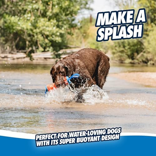 Chuckit! Rugged Bumper Fetch Stick, Medium, 13.5in, Orange and Blue