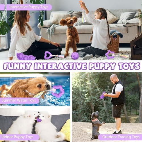 ABRRLO 6 Pack Puppy Teething Toys Cute Purple Puppy Chew Toys for Teething Small Breed Dog Chew Toy Interactive Pet Toy Set for Puppies to Keep Them Busy Soft Durable Small Breed Doggy Chewing Ball