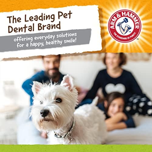 Arm & Hammer for Pets Nubbies Duality Bone Dental Dog Toy| Best Chew Toy for Moderate Chewers | Helps Reduce Plaque & Tartar | Green Apple Flavor Baking Soda (Pack of 2)
