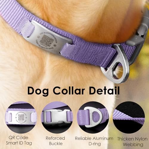 ADVENTUREMORE Smart ID Tag QR Code Nylon Dog Collar - Prevents Small, Medium, Large Dogs from Getting Lost at Night, Displays Owner and Pet Details - Durable, Adjustable, Thick-Purple-L