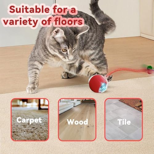 Speedy 2.0 Tail Interactive Cat Toys for Indoor Cats, Automatic Cat Toy with Elastic Mesh Tail, Electric Rolling Ball on Carpet, Chirping and Motion Activate Cat