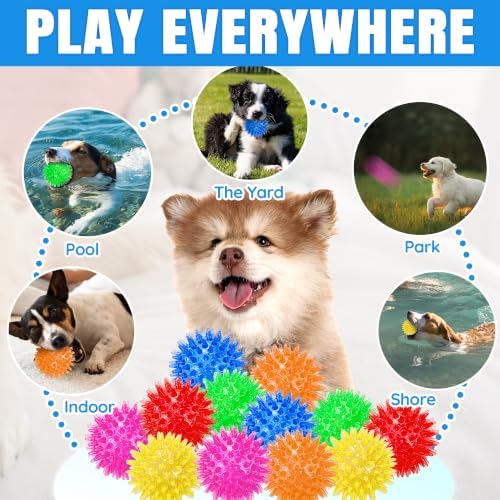 LECHONG 12-Pack Squeaky Spiky Dog Balls, 2.5" Balls for Small Medium Dogs | Durable TPR, Floats, Bouncy, Soothes gums, Cleans teeth, Boredom buster, Interactive Play, Indoor and Outdoor Fetch