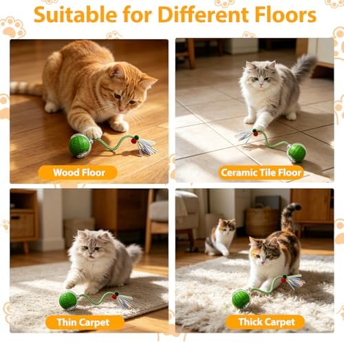 Interactive Cat Toys Ball for Indoor Cats, Automatic Self-Rolling, Motion-Activated, Bird Chirping Cats Dogs Ball Toy with Elastic Mesh Tail, Cat Enrichment Toys for Indoor Cats (Green)