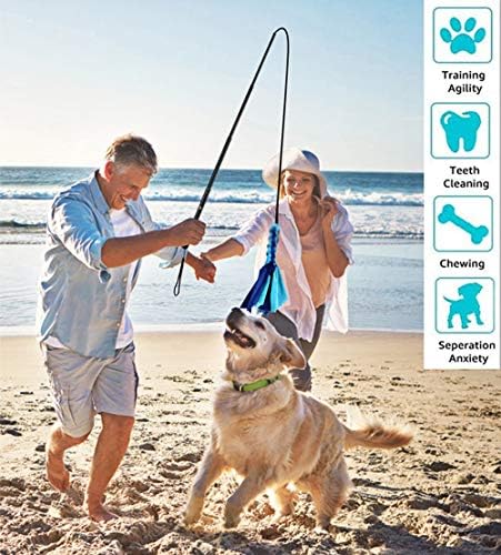 Flirt Pole for Dogs - Extendable Flirt Pole with 2pcs Fleece Lure Tugs for Dog Outdoor Entertainment, Train and Exercise, New Coffee
